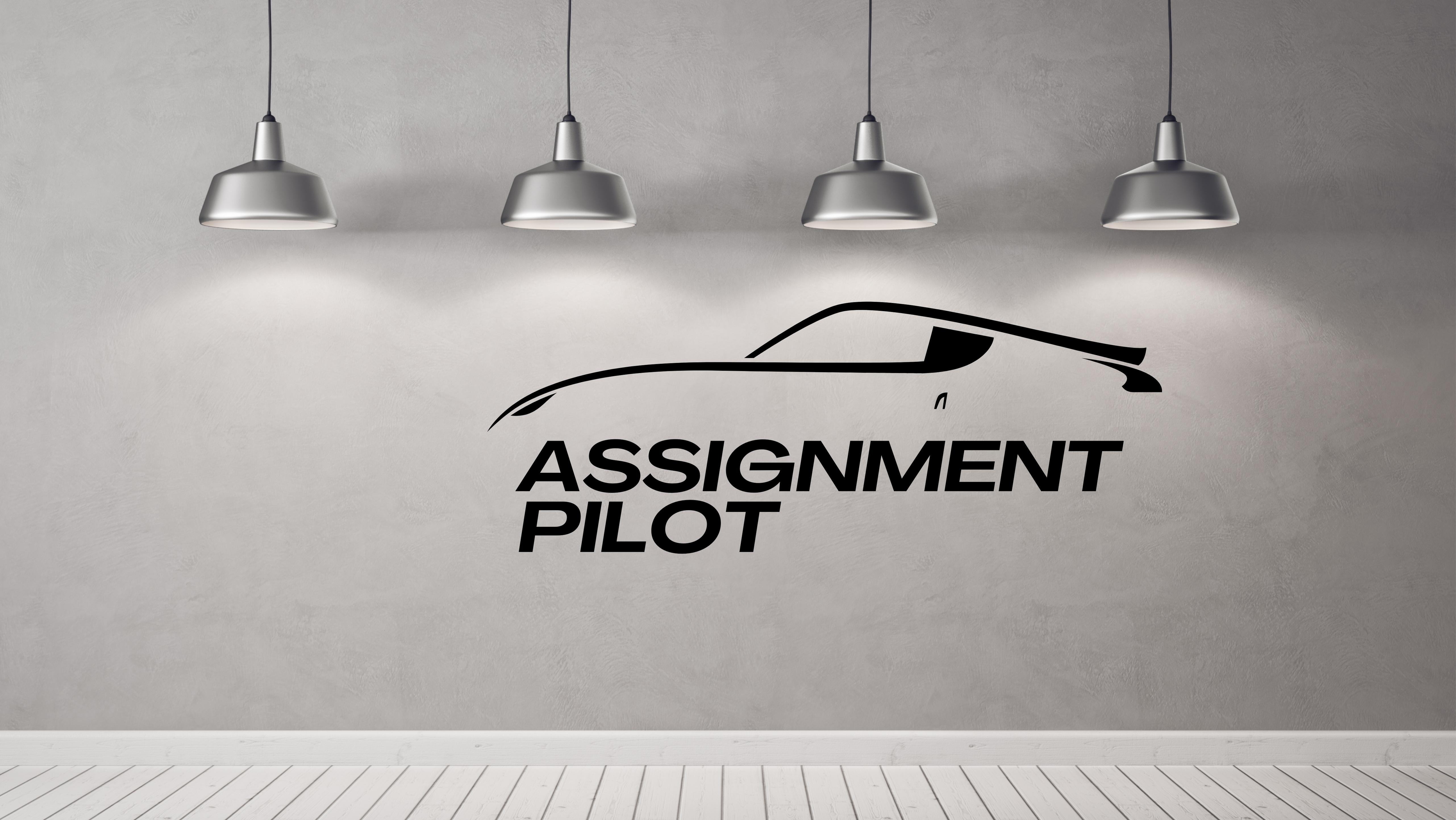 Assignment Pilot Team